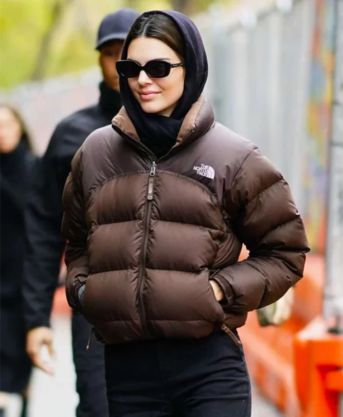 North face puffer hooded jacket sale